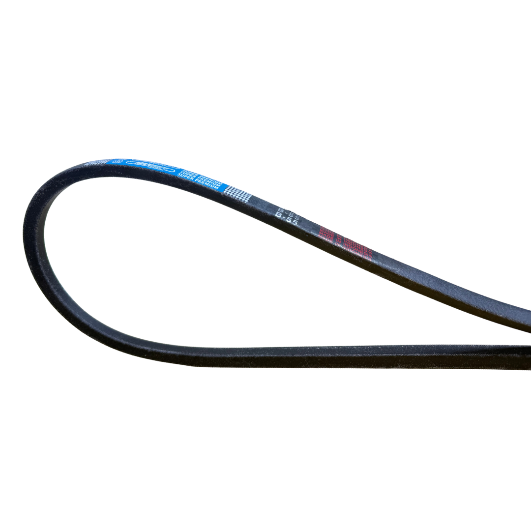 Faja MAXBELT tipo B-55 - Imagen 2